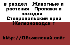  в раздел : Животные и растения » Пропажи и находки . Ставропольский край,Железноводск г.